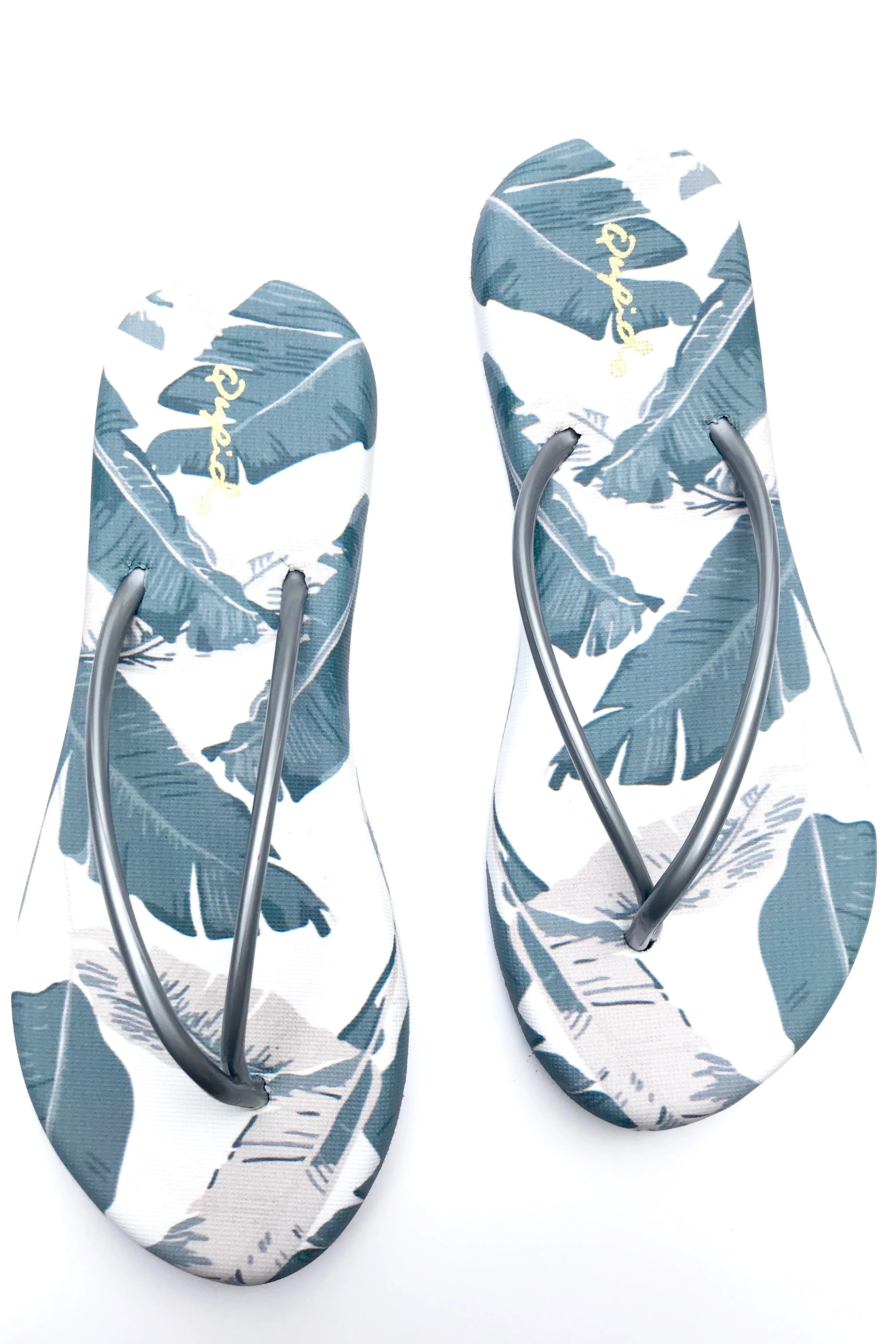 Freebird Silver Flip Flop